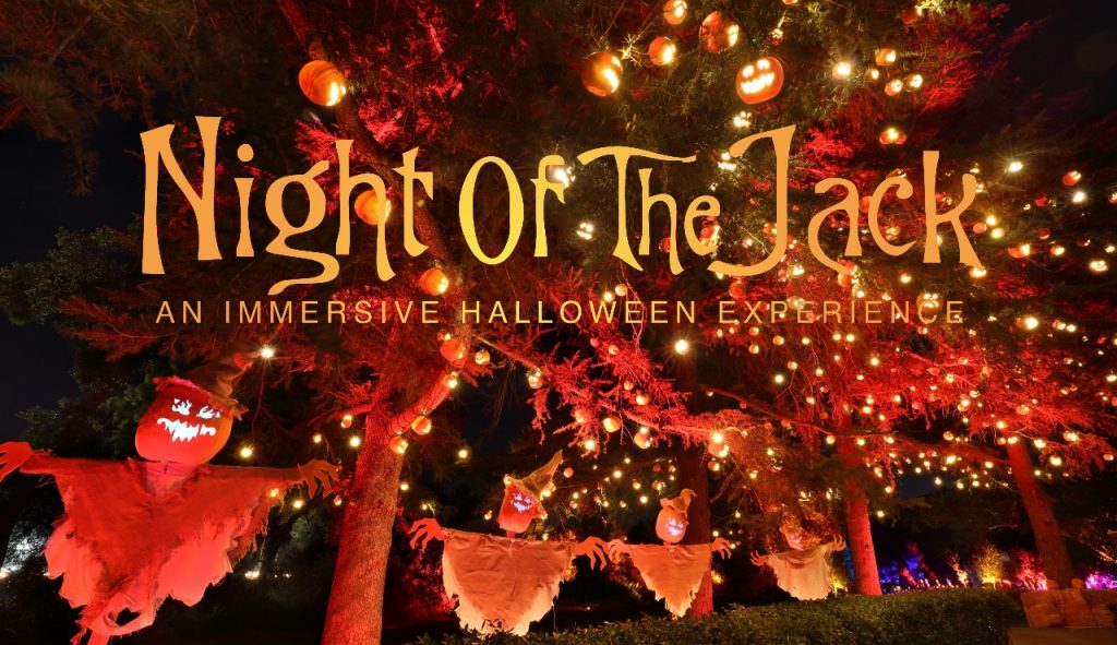 Night of the Jack logo & image of lighting decor